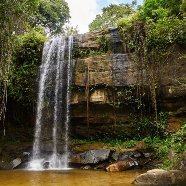 Shimba Hills – Wildlife and Scenic Escapes
