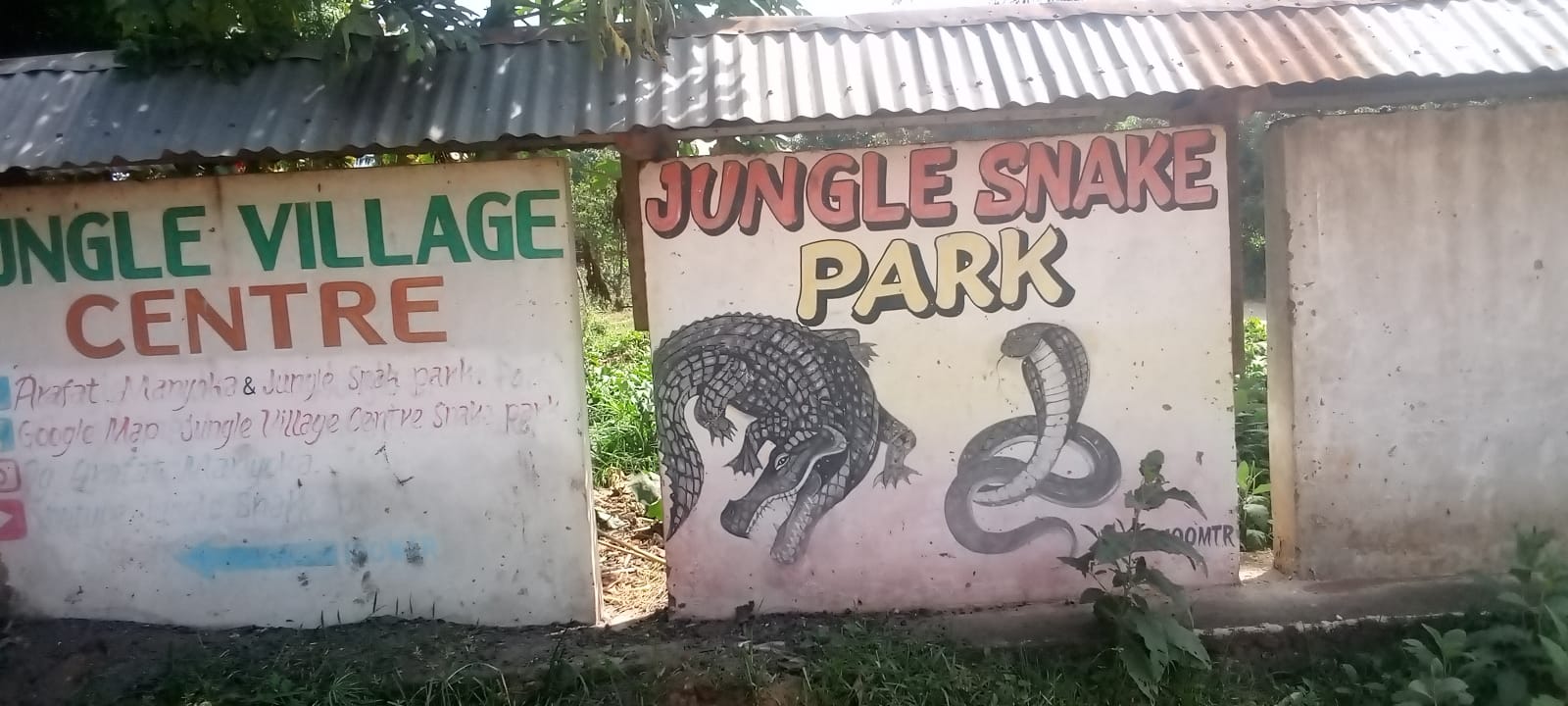 Snakes Park – Mwamanga Village – Up Close with Kenya’s Reptiles